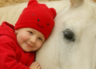 My 2-year-old girl loved playing with the neighbor’s horse, but then we found out something shocking