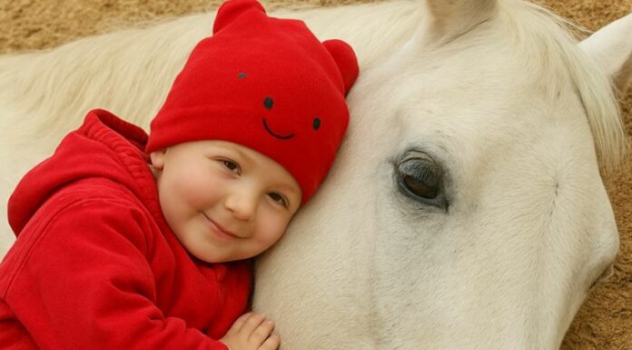 My 2-year-old girl loved playing with the neighbor’s horse, but then we found out something shocking