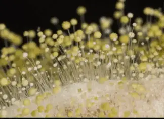 7 powerful anti-cancer foods you should start including in your diet