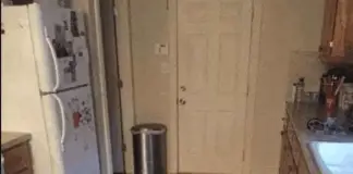 Look closely: There’s a dog hidden in this kitchen scene