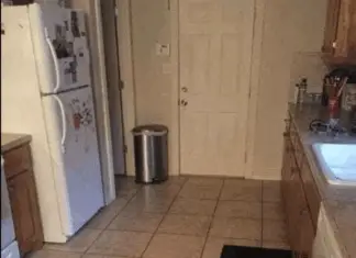 Look closely: There’s a dog hidden in this kitchen scene