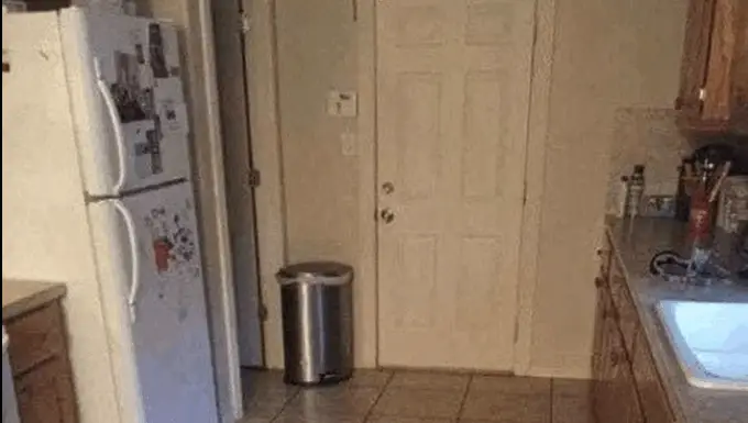 Look closely: There’s a dog hidden in this kitchen scene