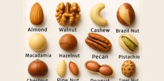 Pick a nut and uncover if you’re lazy or a workaholic