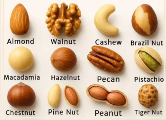 Pick a nut and uncover if you’re lazy or a workaholic