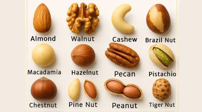 Pick a nut and uncover if you’re lazy or a workaholic