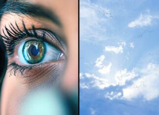 Eye floaters: what they are and what to do if you notice them, according to an eye doctor