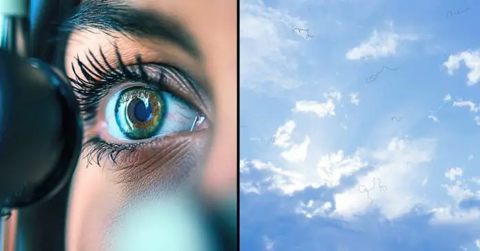 Eye floaters: what they are and what to do if you notice them, according to an eye doctor