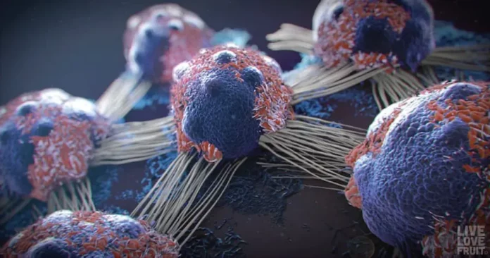 1758736543gwDxAoTckW