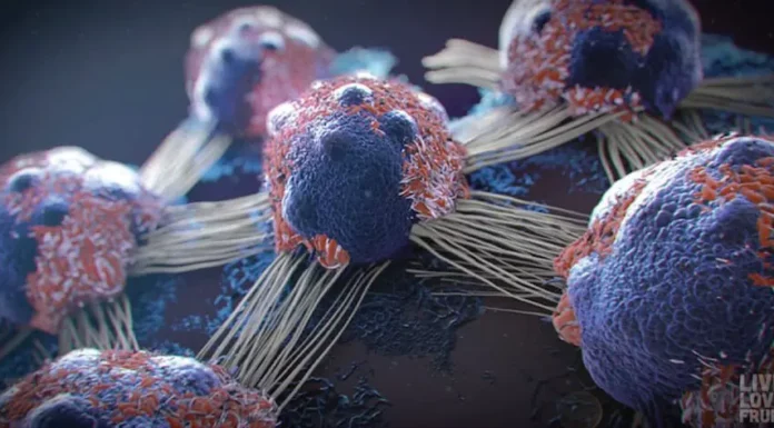 7 powerful anti-cancer foods you should start including in your diet