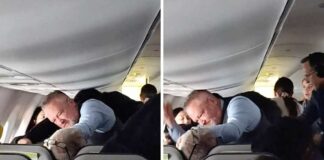 Alaska Airlines Flight 2221: How Quick Thinking Prevented Disaster