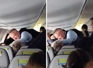 Alaska Airlines Flight 2221: How Quick Thinking Prevented Disaster