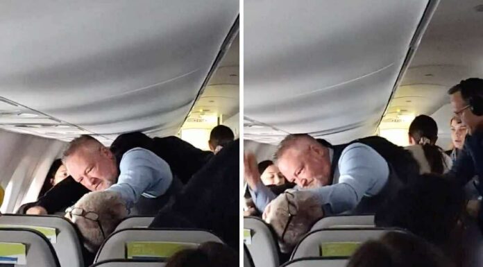 Alaska Airlines Flight 2221: How Quick Thinking Prevented Disaster