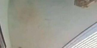 Caught on Camera: Suspect Attacks Cop, Instant Karma Follows