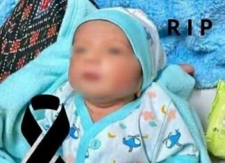 Unrecognizable Julia Roberts Dives Into Emotional Role in New Movie