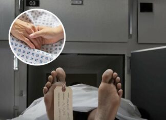 Scientists explain shocking reality of what your brain sees right before death