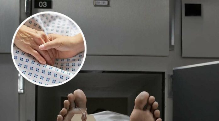 Scientists explain shocking reality of what your brain sees right before death