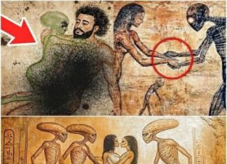 Biblical Perspective on Age Differences Between Couples