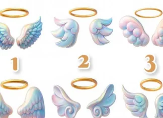 Pick your wing to reveal who your guardian angel is