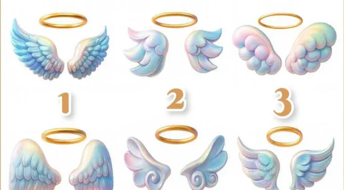 Pick your wing to reveal who your guardian angel is