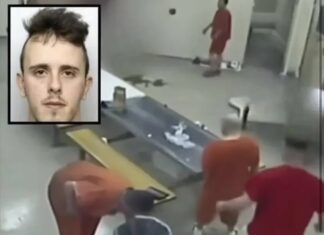 The Case That Stirred Wakefield: Loss, Accountability, and Lessons Learned