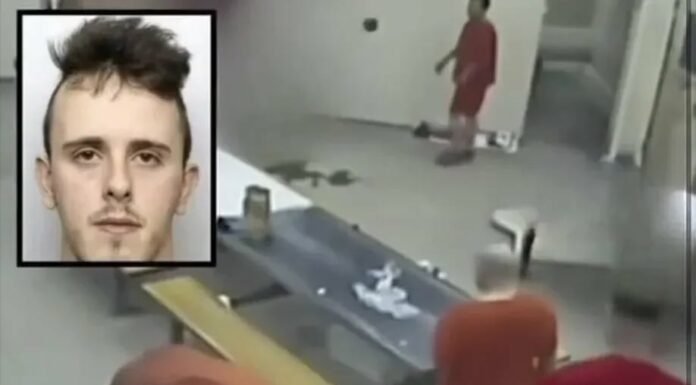 The Case That Stirred Wakefield: Loss, Accountability, and Lessons Learned