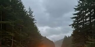 Highway 99 Disaster Claims Lives as Search Ends for Missing Victim