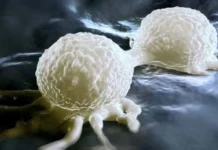 Cancer researchers issue urgent warning: ‘Stop eating this right away’