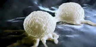 Cancer researchers issue urgent warning: ‘Stop eating this right away’