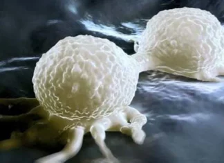 Cancer researchers issue urgent warning: ‘Stop eating this right away’