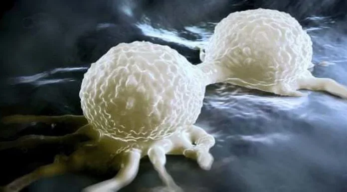 Cancer researchers issue urgent warning: ‘Stop eating this right away’