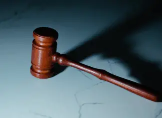 South Carolina judge Diane Goodstein’s home catches fire — what we know so far