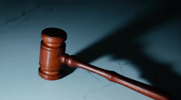 South Carolina judge Diane Goodstein’s home catches fire — what we know so far