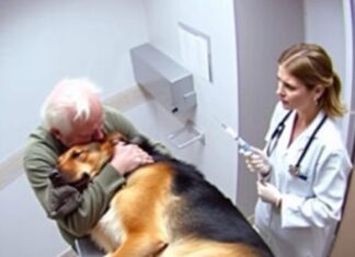 Just before being put down, the dog hugged his owner — what followed was incredible