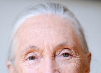 Legendary primatologist Jane Goodall’s cause of death revealed