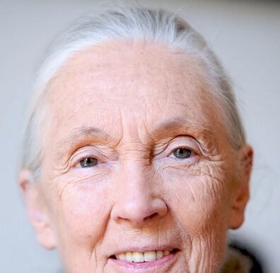 Legendary primatologist Jane Goodall’s cause of death revealed