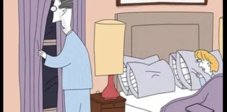 Can you spot the book, egg, cup, and pillow?