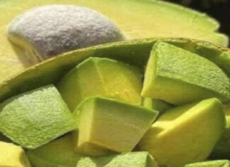 Avocados: The nutrient-packed fruit doctors recommend