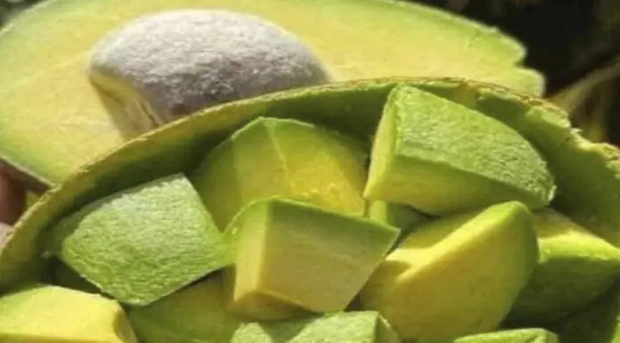 Avocados: The nutrient-packed fruit doctors recommend