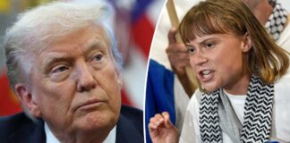 Greta Thunberg’s brutal response to Donald Trump amid ‘anger management issues’ comment