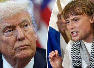 Greta Thunberg’s brutal response to Donald Trump amid ‘anger management issues’ comment