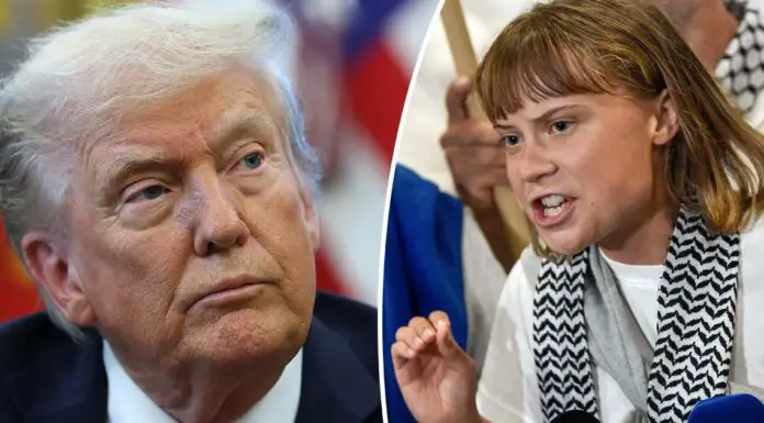 Greta Thunberg’s brutal response to Donald Trump amid ‘anger management issues’ comment