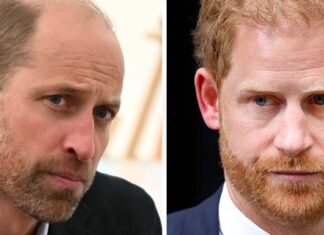 Prince William & Harry’s bitter feud was ‘triggered by brutal childhood comment’, according to an insider