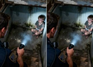 I was patrolling at night when a message suddenly came through the radio: strange sounds had been reported in an abandoned house…