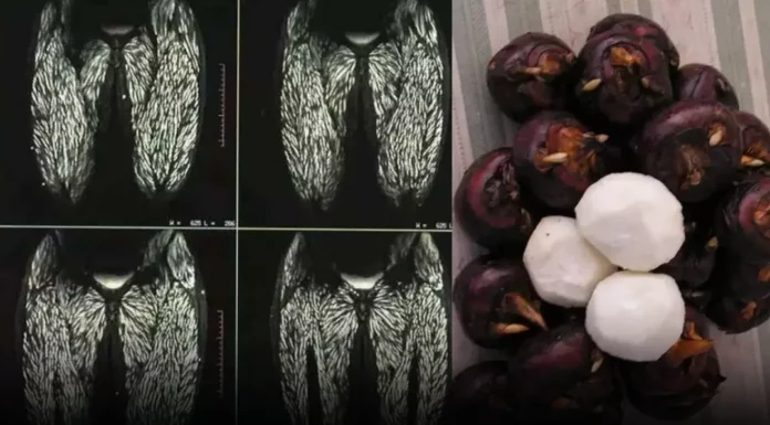 Just one bite can do serious damage — and shockingly, people can’t stop eating it