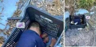 Toddler Found Under Unusual Circumstances— Who Is He?