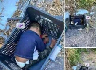 Toddler Found Under Unusual Circumstances— Who Is He?