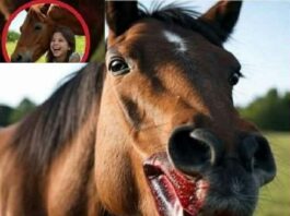 When the Horse Turned Deadly