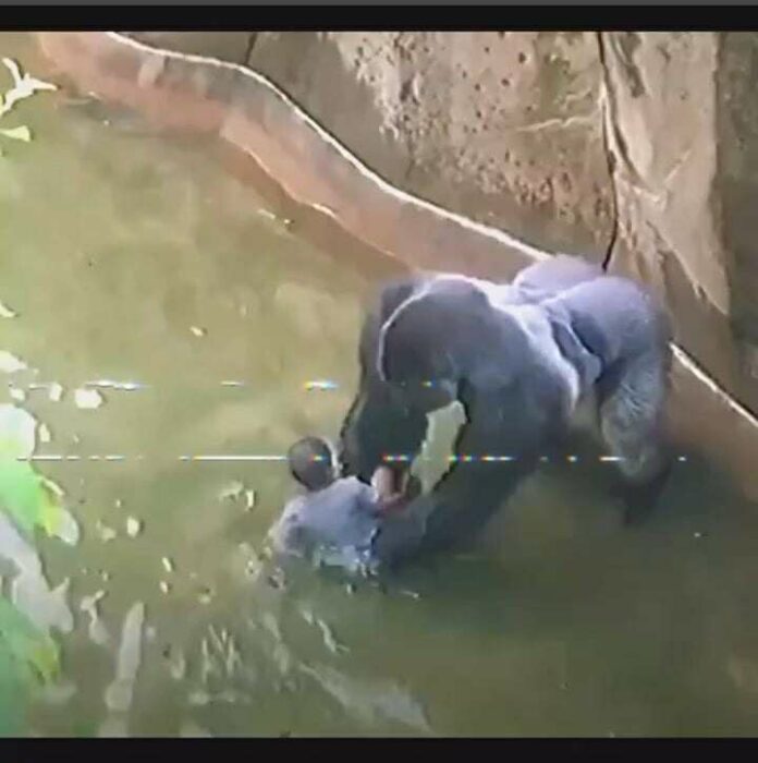 573665683_856403390247900_826234192508748755_n