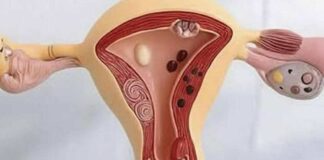 The Hidden Consequences of a S*xless Life