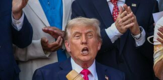 Upcoming Changes to the SNAP Food Assistance Program Taking Effect This November